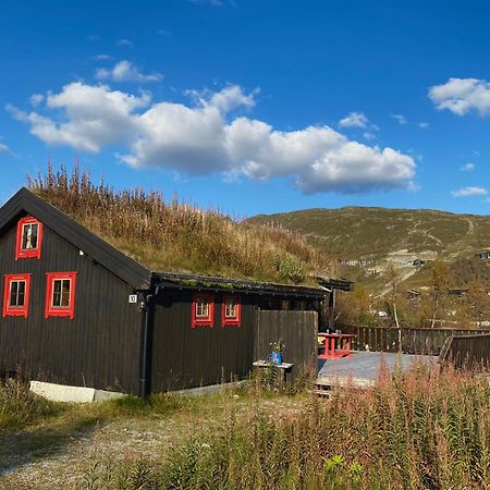 Haukeli Mountain Cabin Vagslivatnet Ngoại thất bức ảnh